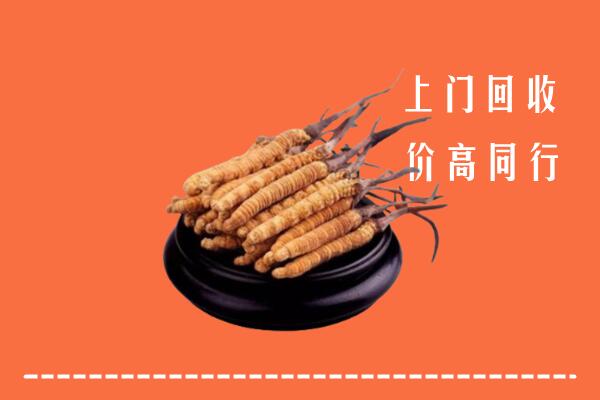 高价求购：阳原县回收散虫草