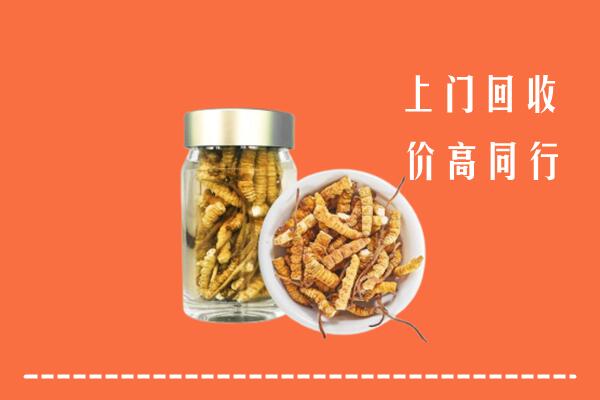 阳原县回收冬虫夏草